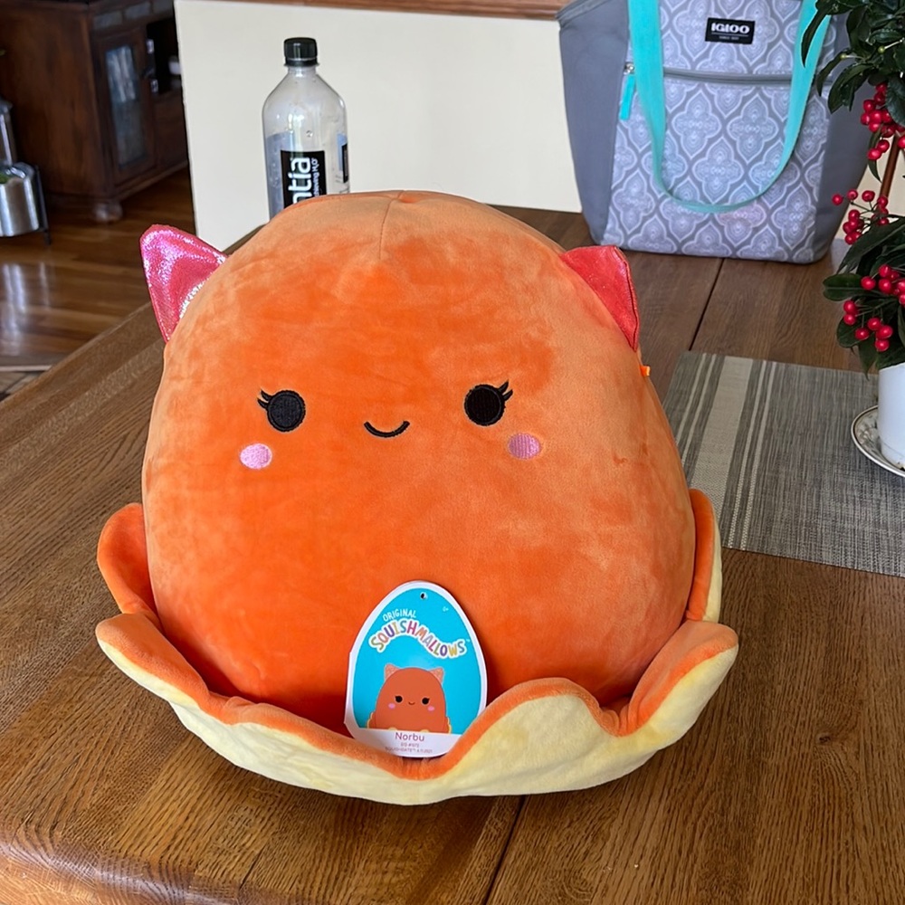 Norbu squishamllow